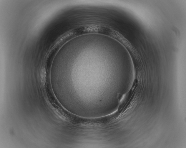 X0000112090722200908041449