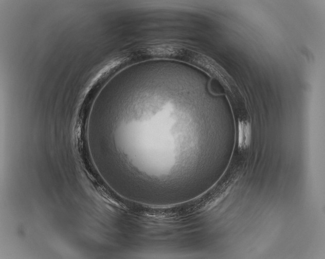X0000112090723200908041449