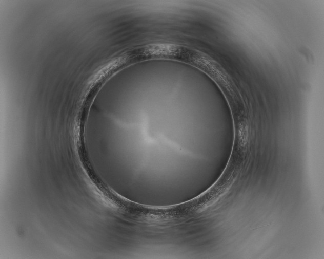 X0000112090725200908041449