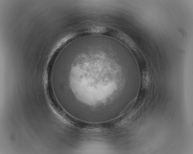 X0000112090726200908041449
