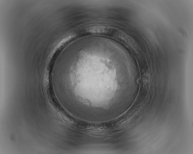 X0000112090727200908041449