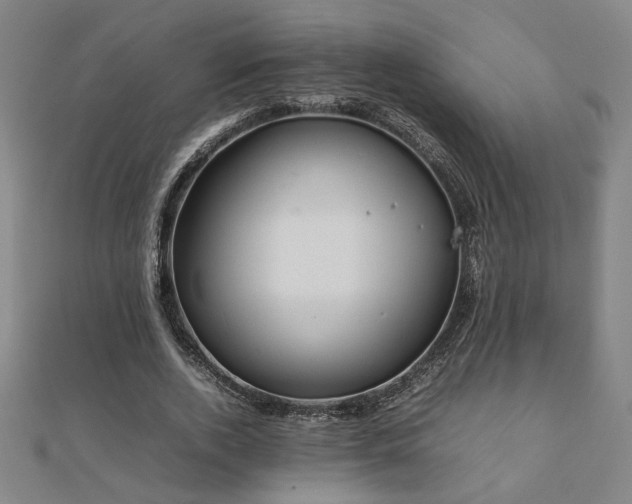 X0000112090728200908041449