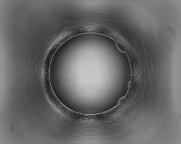 X0000112090730200908041449