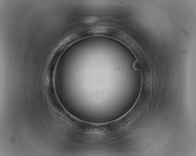 X0000112090731200908041449