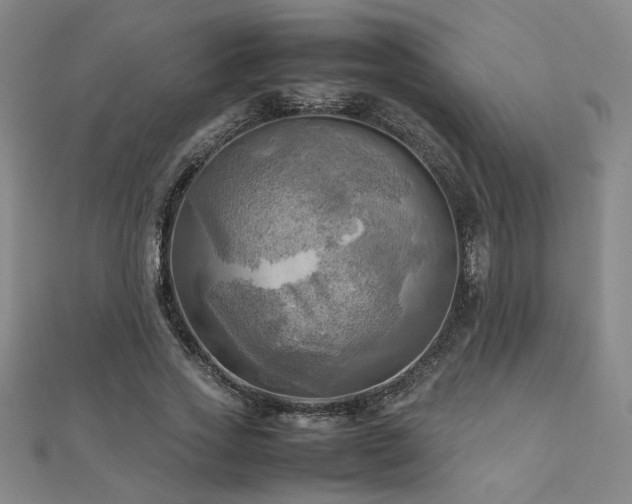 X0000112090733200908041449