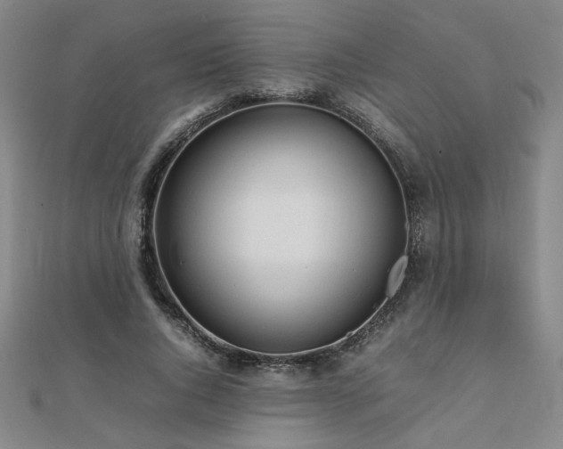 X0000112090736200908041449