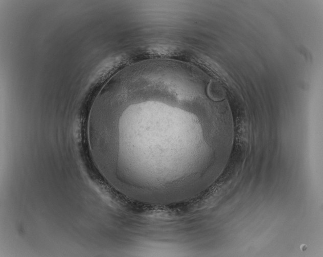 X0000112090738200908041449