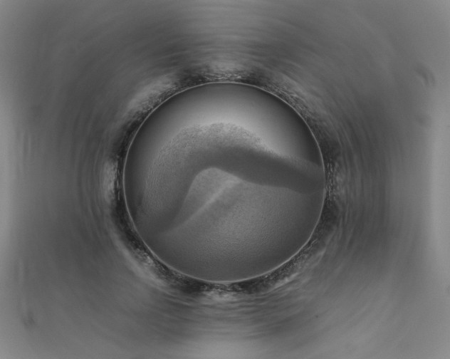 X0000112090742200908041449