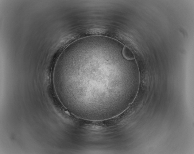 X0000112090743200908041449