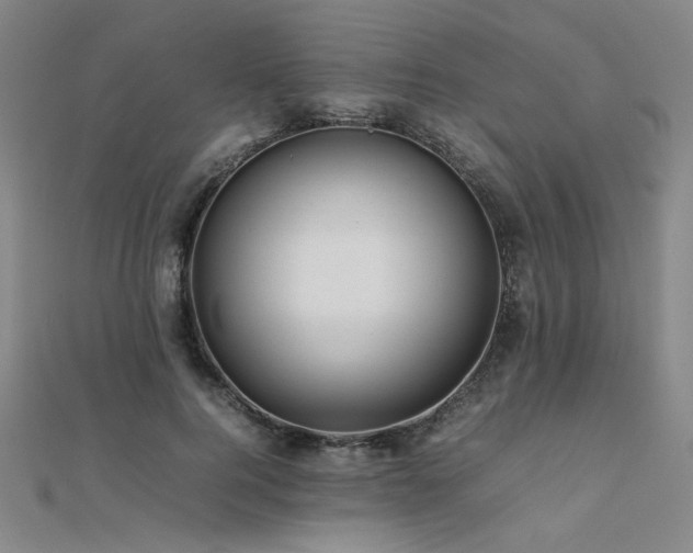 X0000112090744200908041449