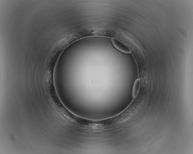 X0000112090748200908041450