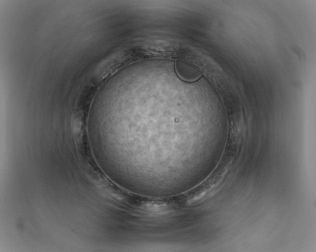X0000112090749200908041450
