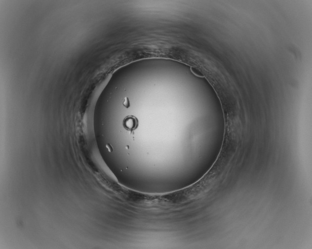 X0000112090752200908041450