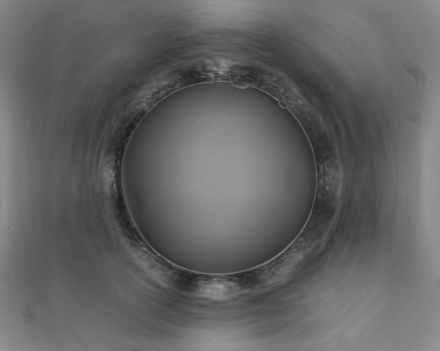 X0000112090754200908041450