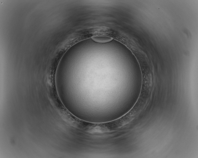 X0000112090755200908041450