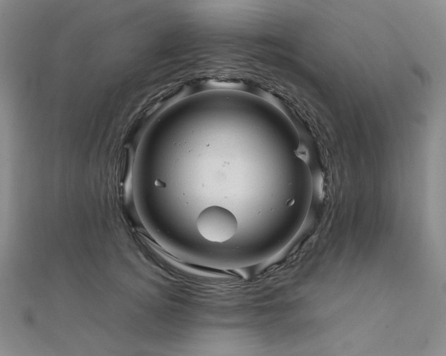 X0000112090756200908041450