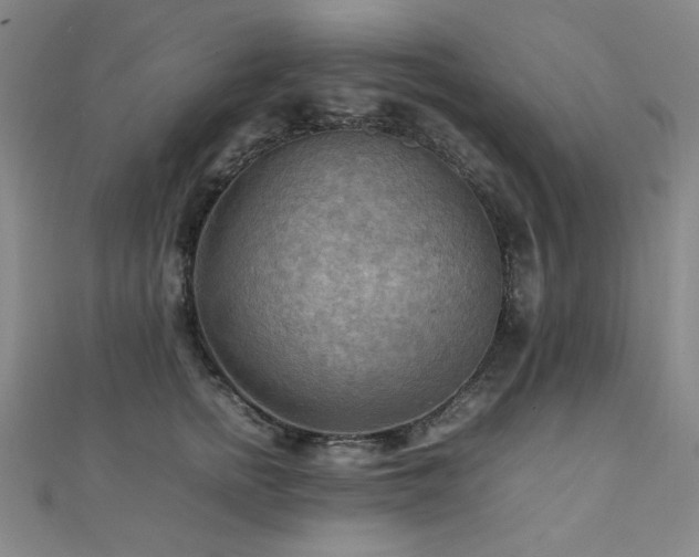 X0000112090758200908041450