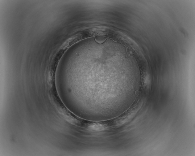X0000112090759200908041450