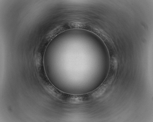 X0000112090760200908041450
