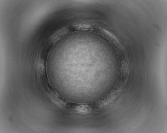 X0000112090761200908041450