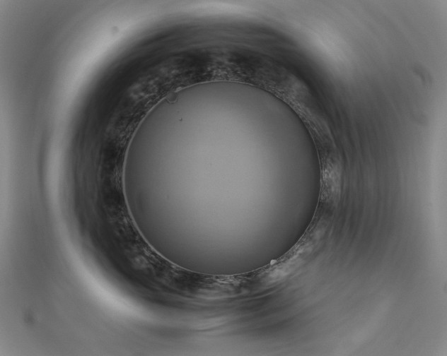X0000112090765200908041450