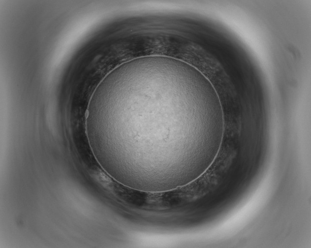 X0000112090766200908041450
