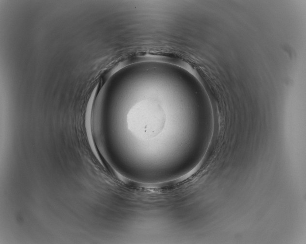X0000112090768200908041450