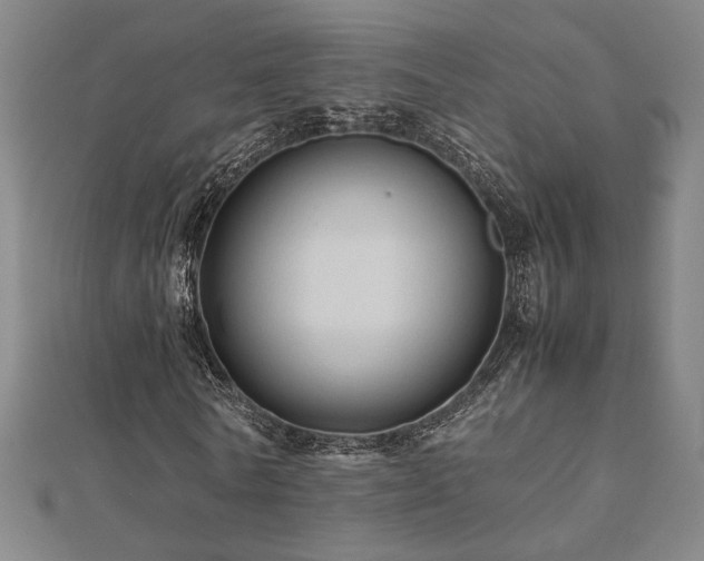 X0000112090770200908041449