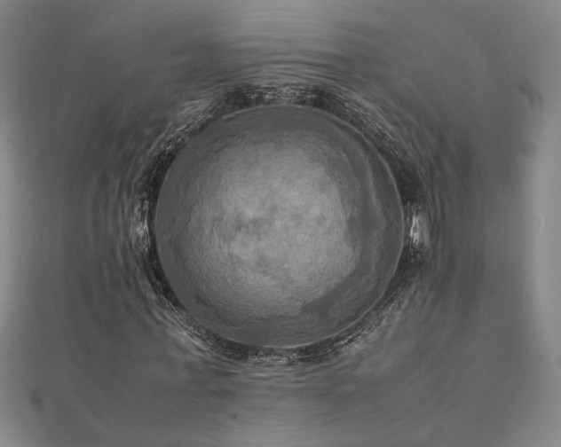 X0000112090771200908041449