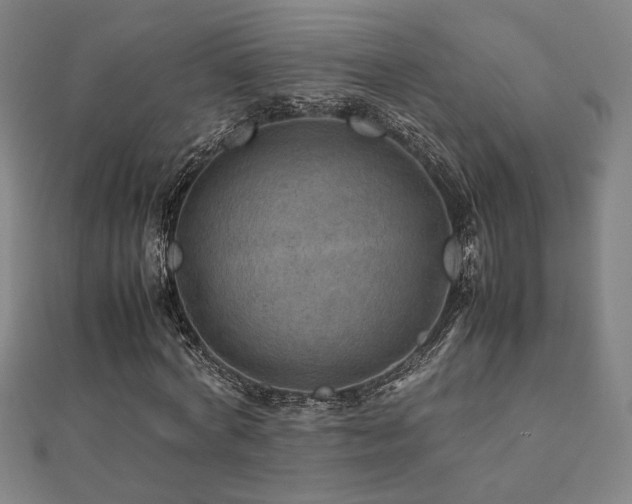 X0000112090772200908041449