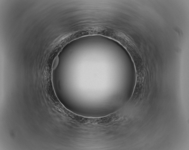 X0000112090773200908041449