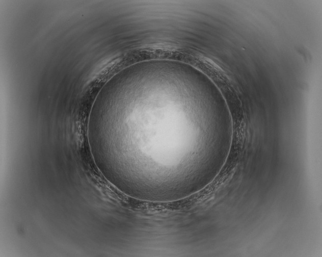 X0000112090774200908041449