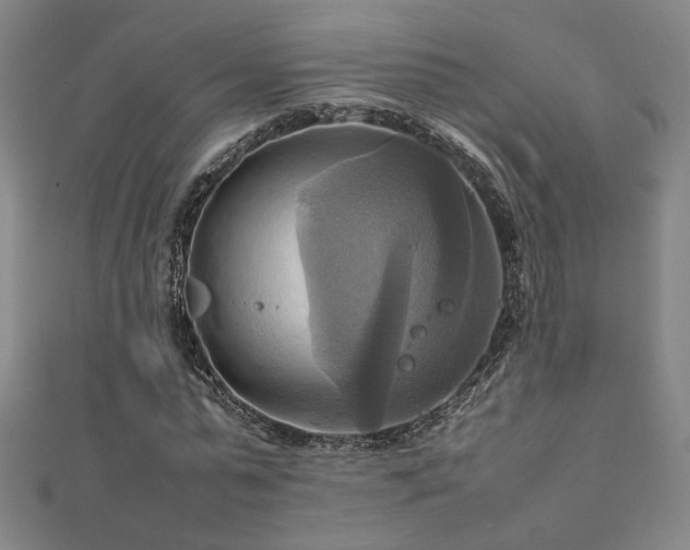 X0000112090775200908041449