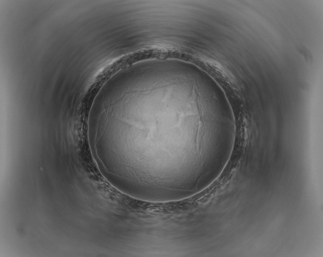 X0000112090776200908041449