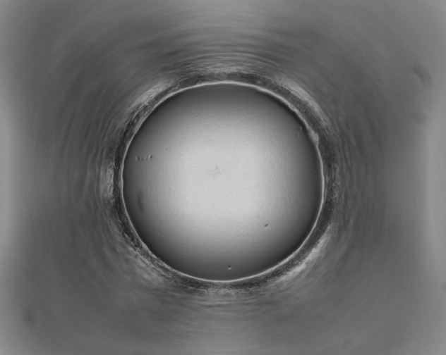 X0000112090777200908041449