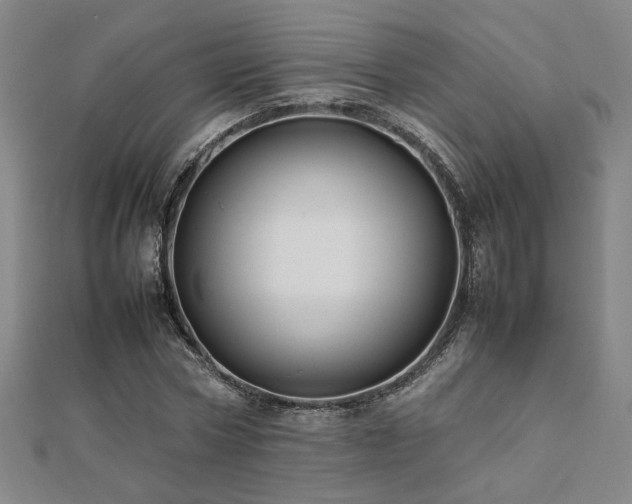 X0000112090778200908041449