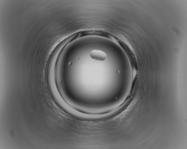 X0000112090781200908041449