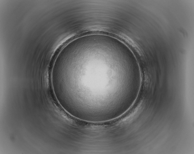 X0000112090782200908041449