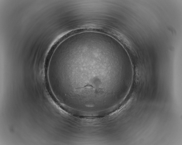 X0000112090784200908041449