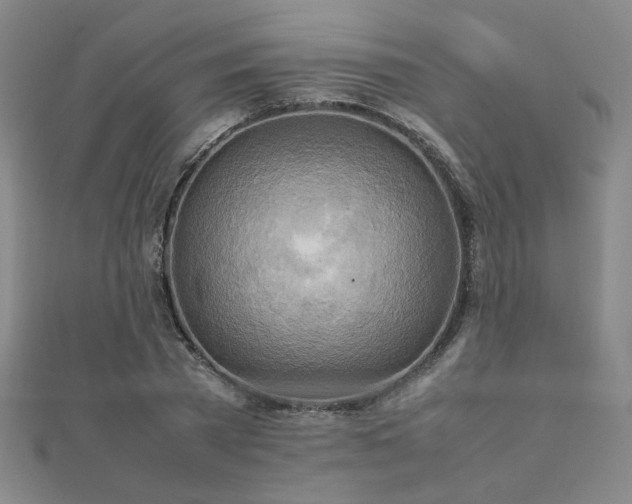 X0000112090785200908041449