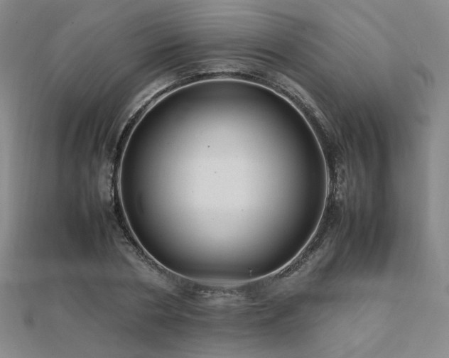 X0000112090786200908041449