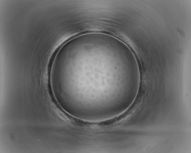 X0000112090787200908041449