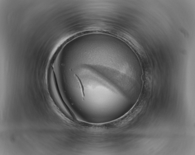 X0000112090788200908041449