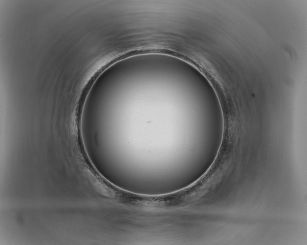 X0000112090789200908041449