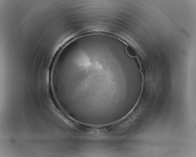 X0000112090790200908041449