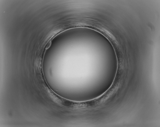 X0000112090793200908041449