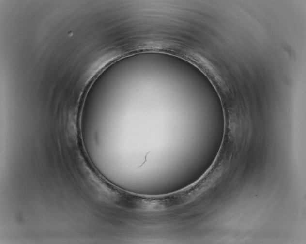 X0000112090794200908041449