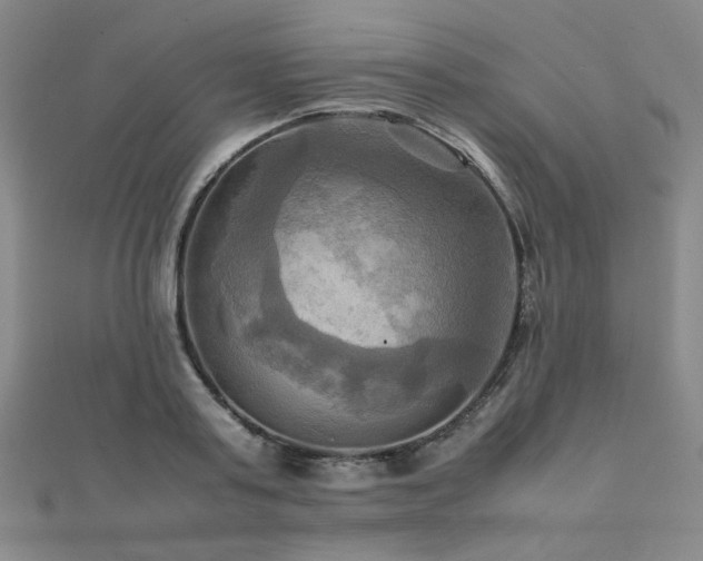 X0000112090795200908041449