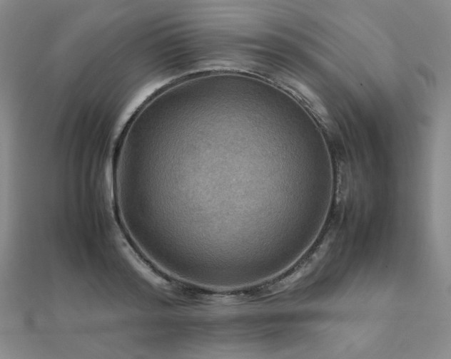 X0000112090796200908041449