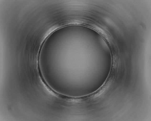 X0000112090802200908041449